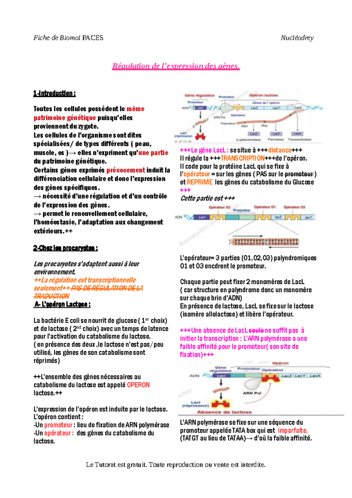 Régulation de l'expression des gènes - Biomol Cours 5 - Studocu