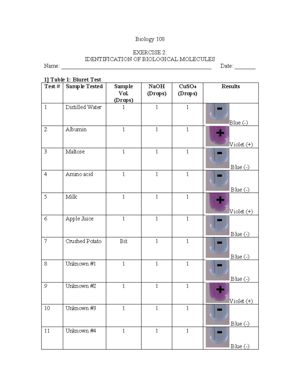 Biol 108 Exercise 2: Identifying Biological Molecules Results - Studocu