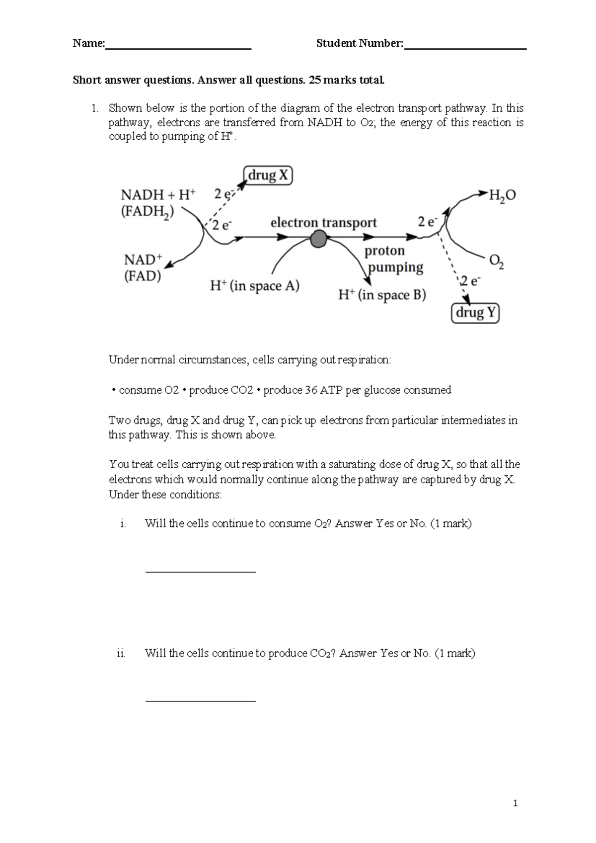 W24 BIOC2580 Final Exam Practice Questions and Answers - Studocu
