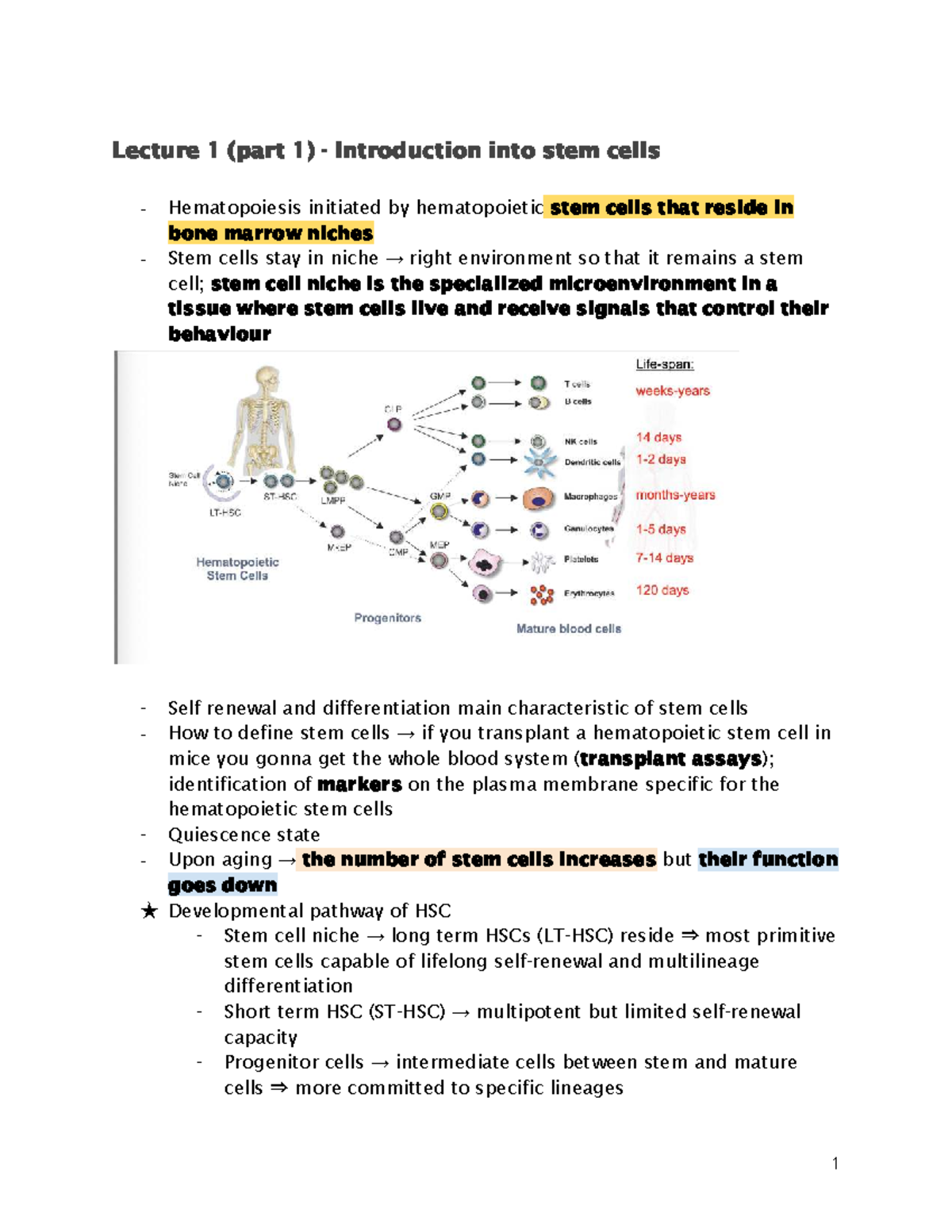 HSC 101: Lecture 1 - Introduction to Hematopoietic Stem Cells and ...