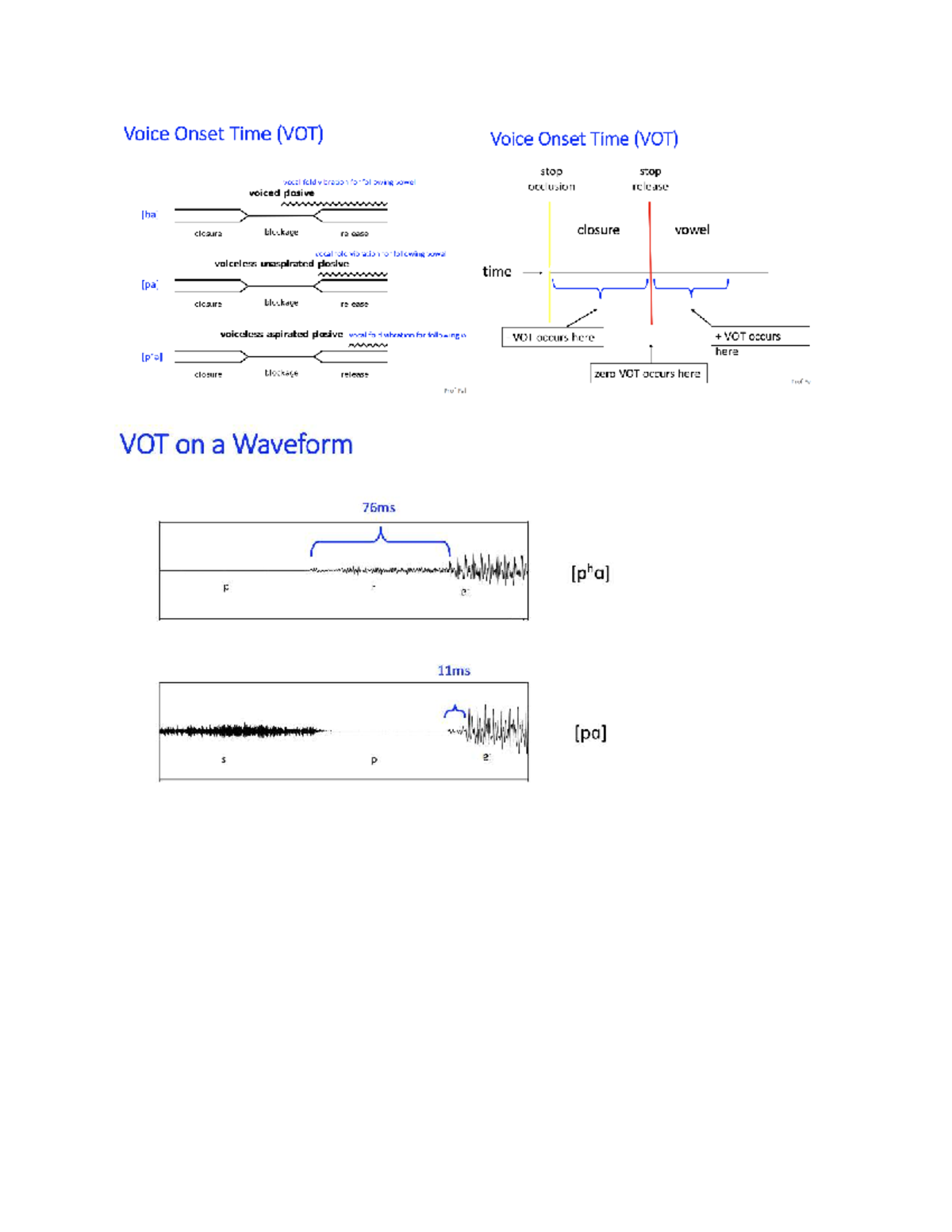 LING2217 - VOT Analysis in Phonetics: Voiced and Voiceless Stops - Studocu