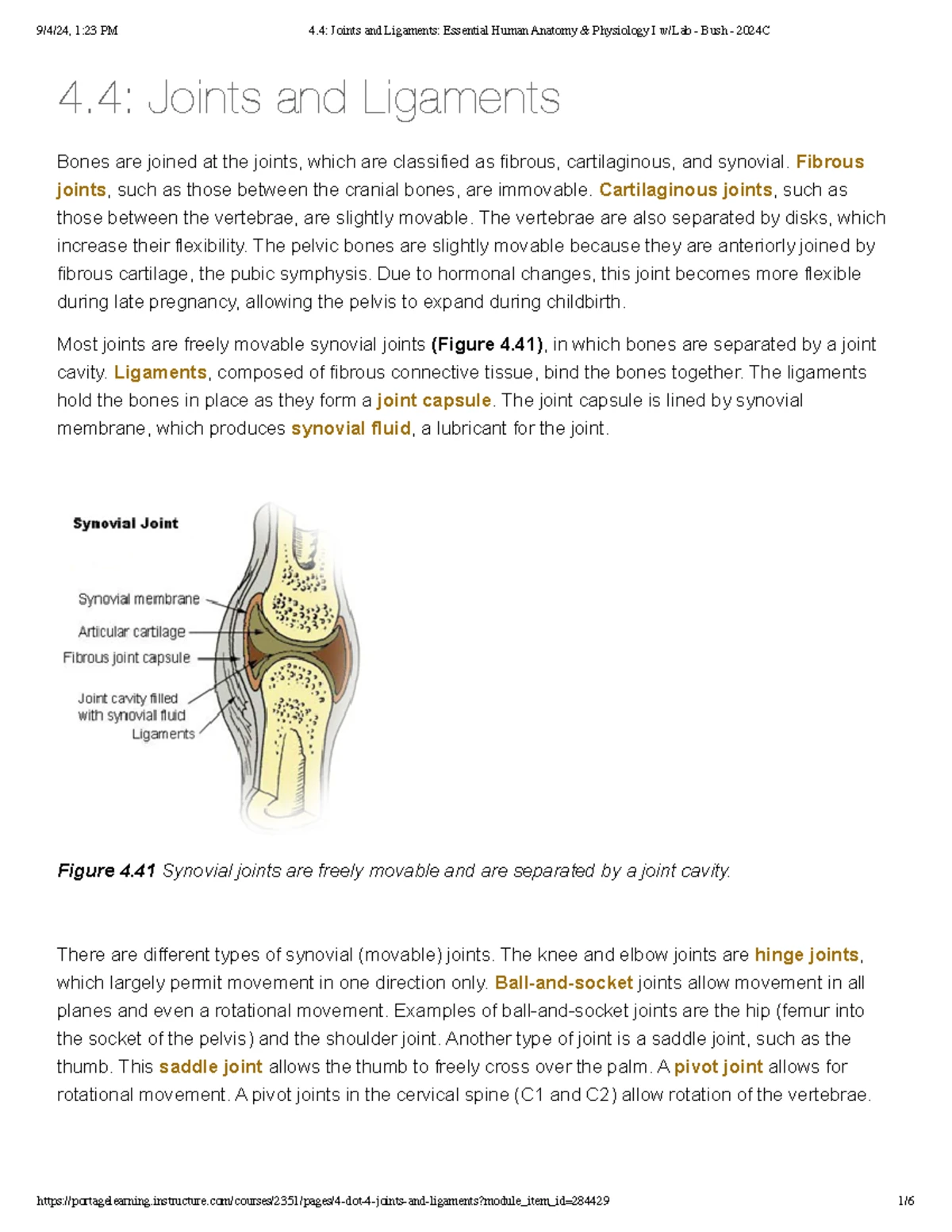 Anatomy of the Appendicular Skeleton: Essential Human A&P I w Lab - Studocu