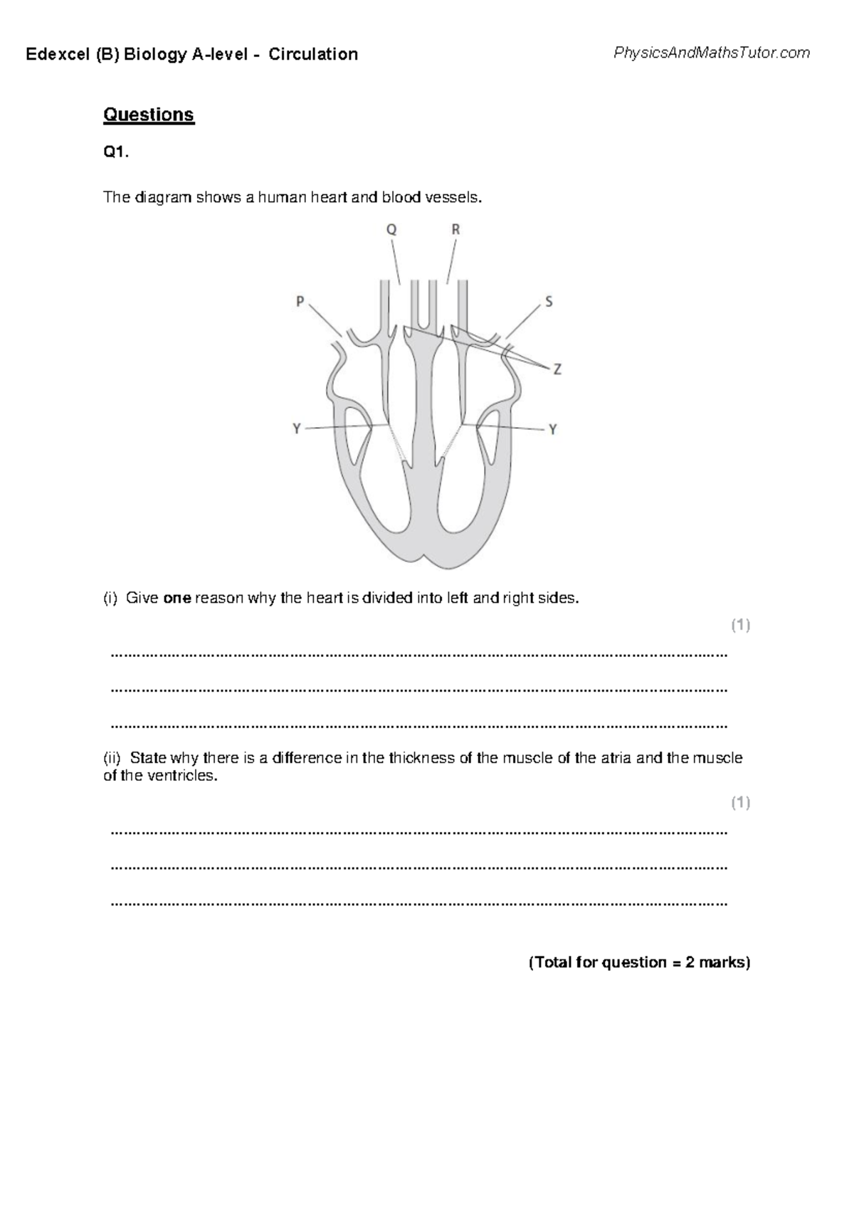 Edexcel (B) Biology Circulation Q&A: Understanding the Human Heart ...