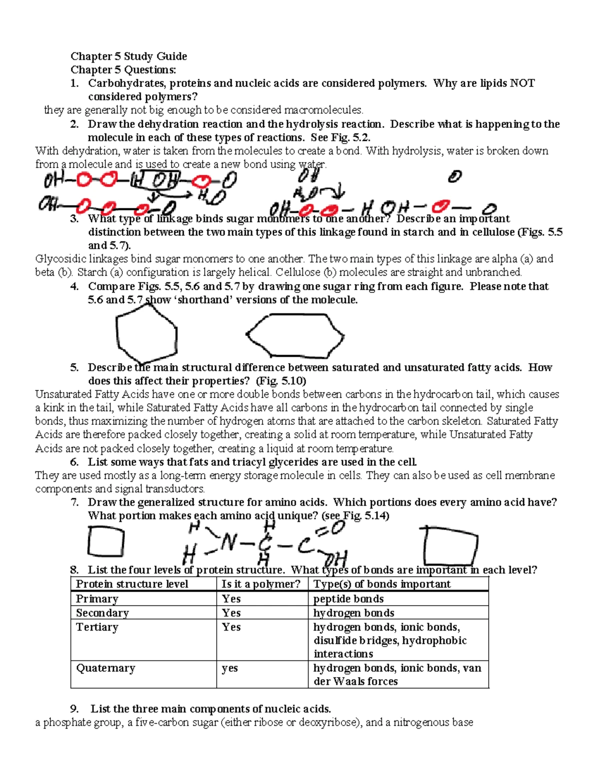 W5_LW_Protein_Analysis_Worksheet - Name: Instructor & Section: Protein ...
