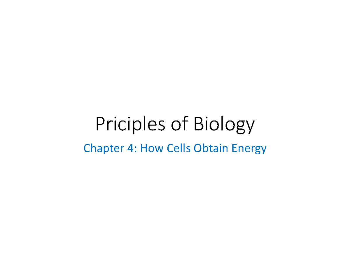 Principles of Biology: Chapter 4 - Energy Acquisition in Cells - Studocu
