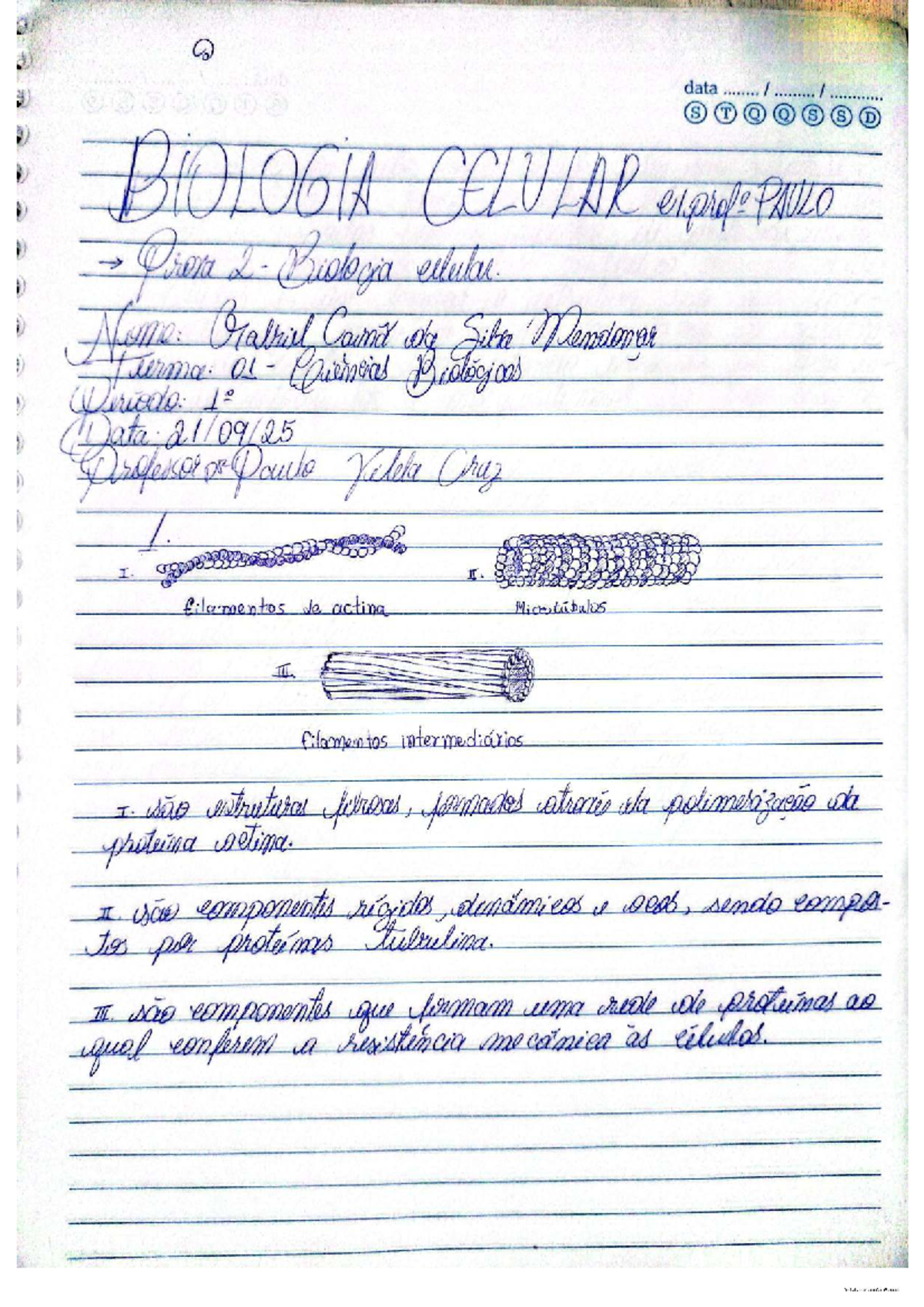 Prova 2 - Biologia Celular - Gabriel Caina Da Silva Mendonça - Studocu