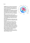 Unit 5 - Cell Biology - Studocu