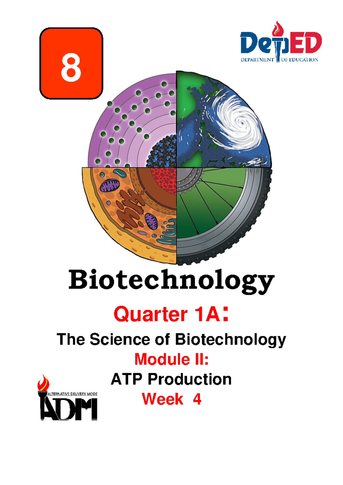 Gr8 Biotech Q1: Module II - ATP Production & Energy Processes - Studocu