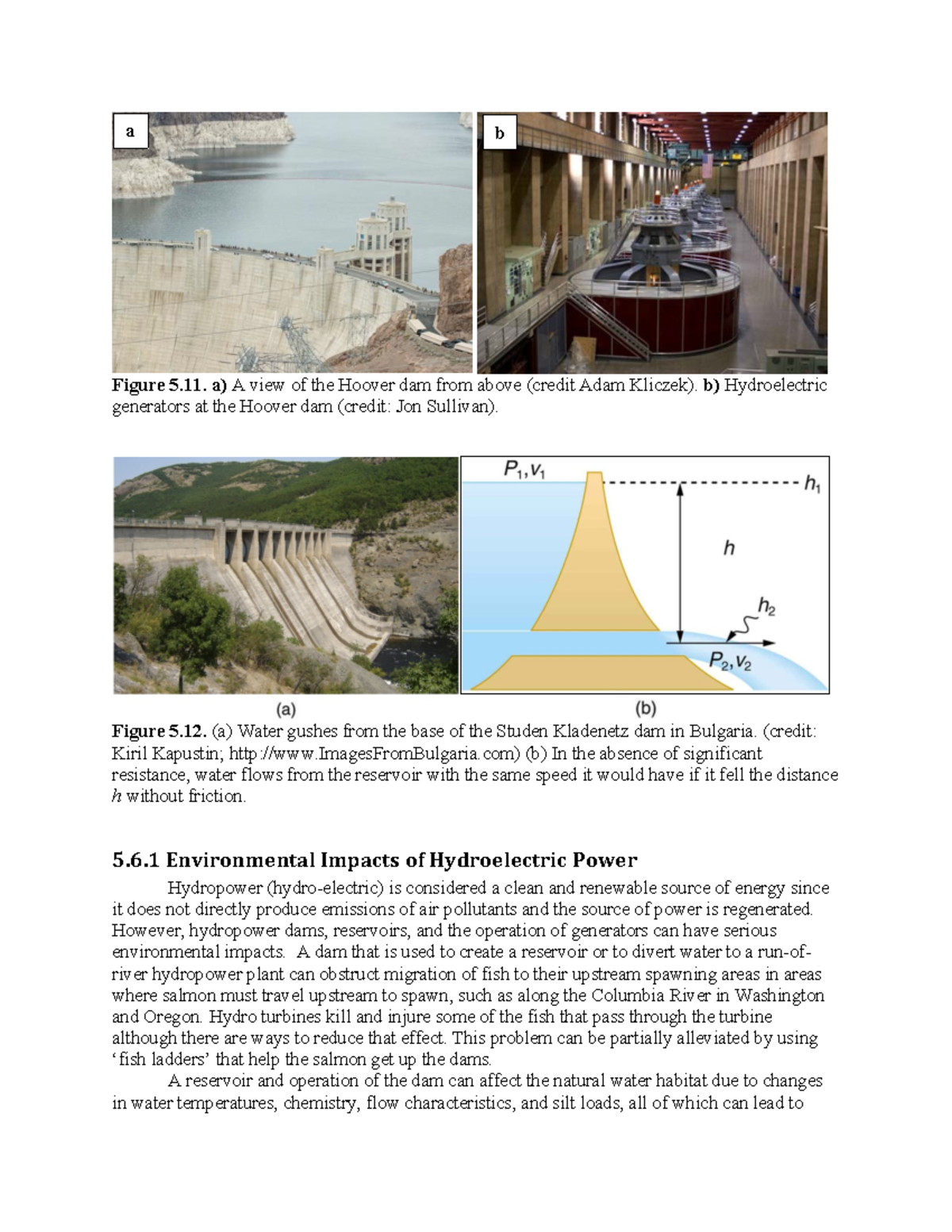 Potential of Tidal Power: An Overview of Environmental Impacts and ...