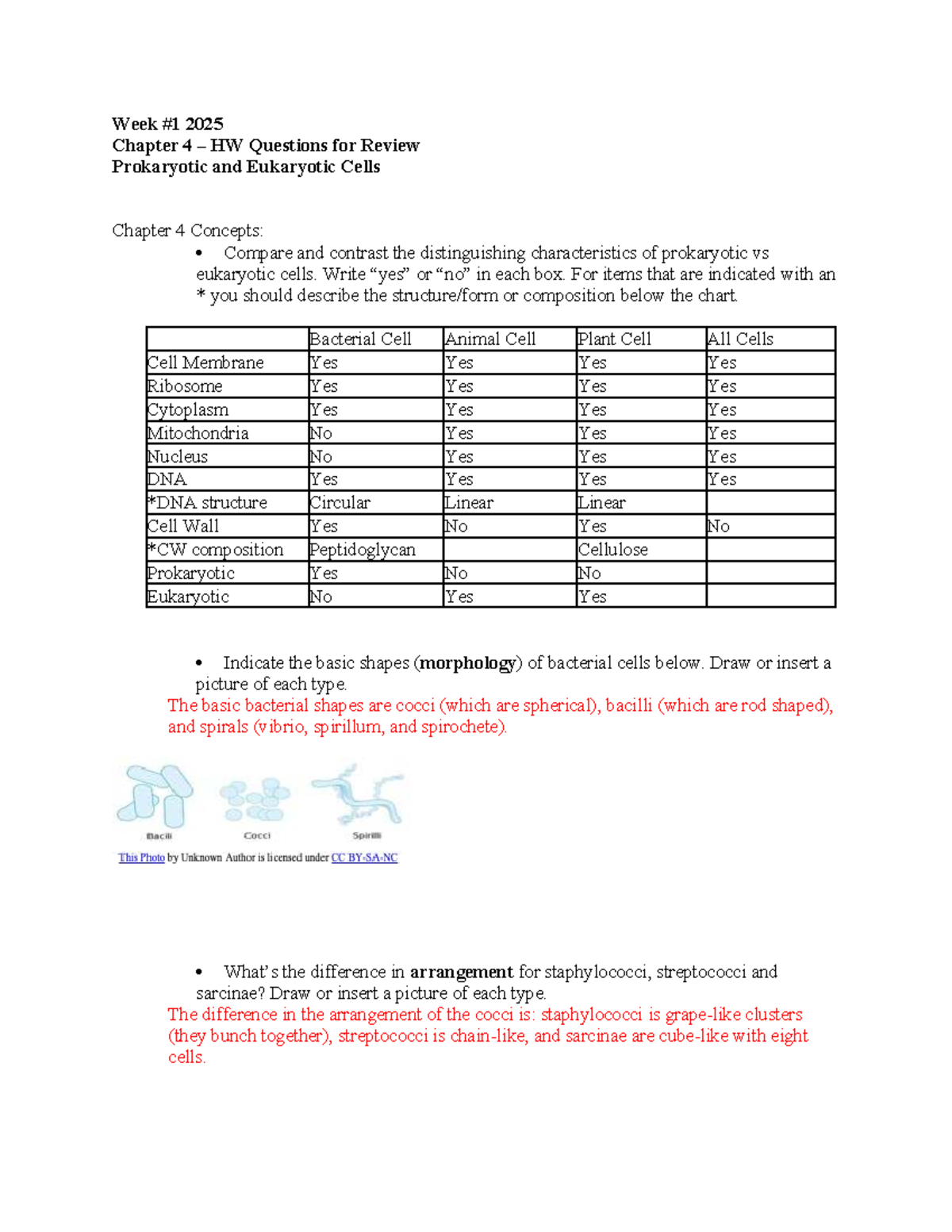 Bio 2025 Week 1 Chapter 4 HW: Prokaryotic vs Eukaryotic Cells Review ...
