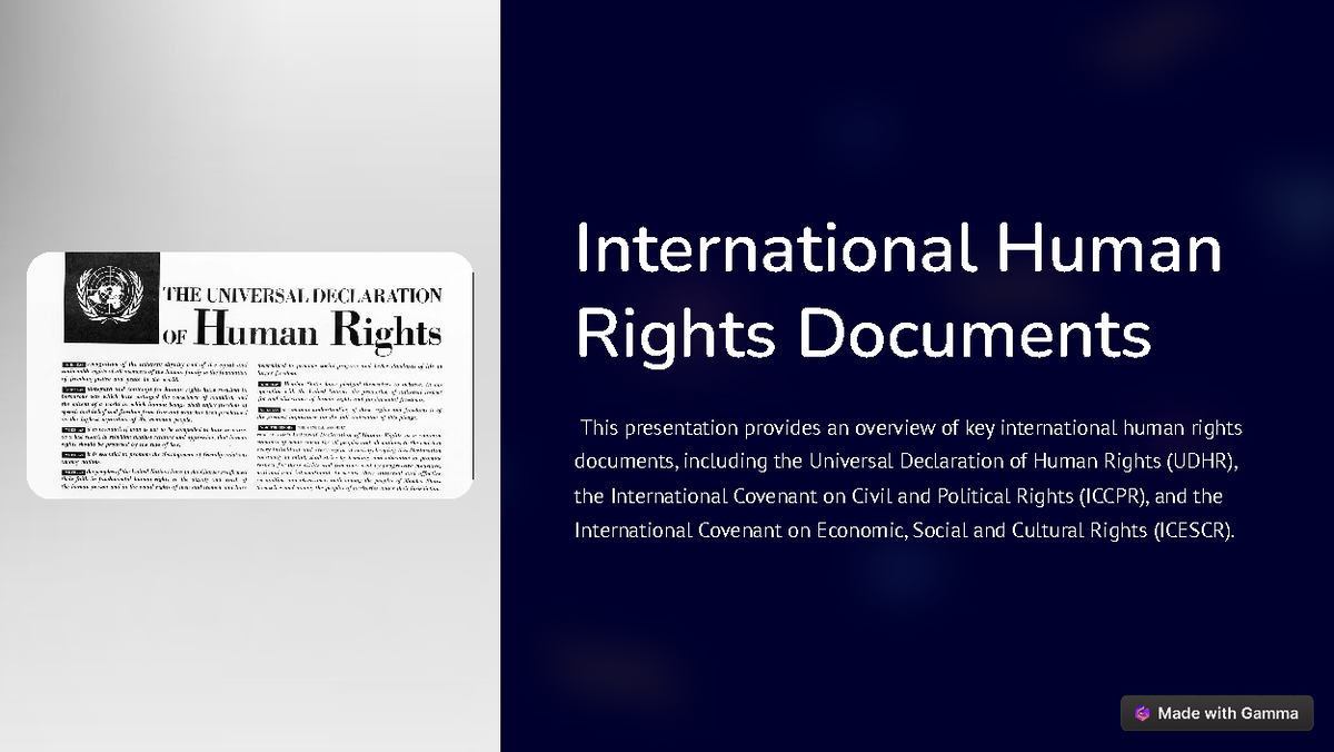 International HR Documents: Overview of Key Rights Instruments - Studocu
