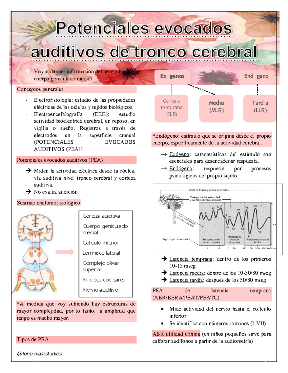 Peatc I - Potenciales Evocados Auditivos: Estudio y Aplicaciones ...