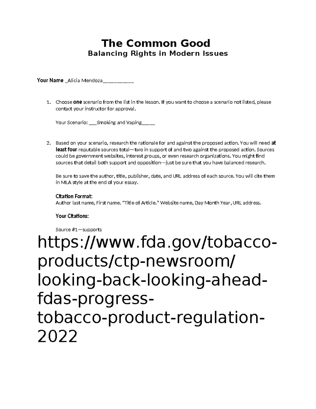 Balancing Rights: Smoking & Vaping in the Common Good Essay