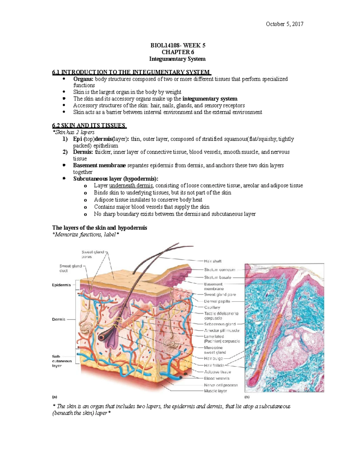 Symbiotic Bacteria & Metabolic Processes for Biohydrogen Production ...