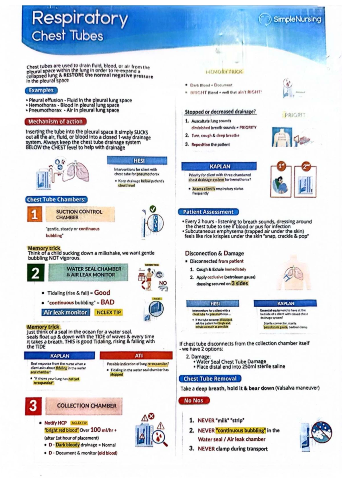 Asthma 2 - Study Material on Pathology and Management - Studocu