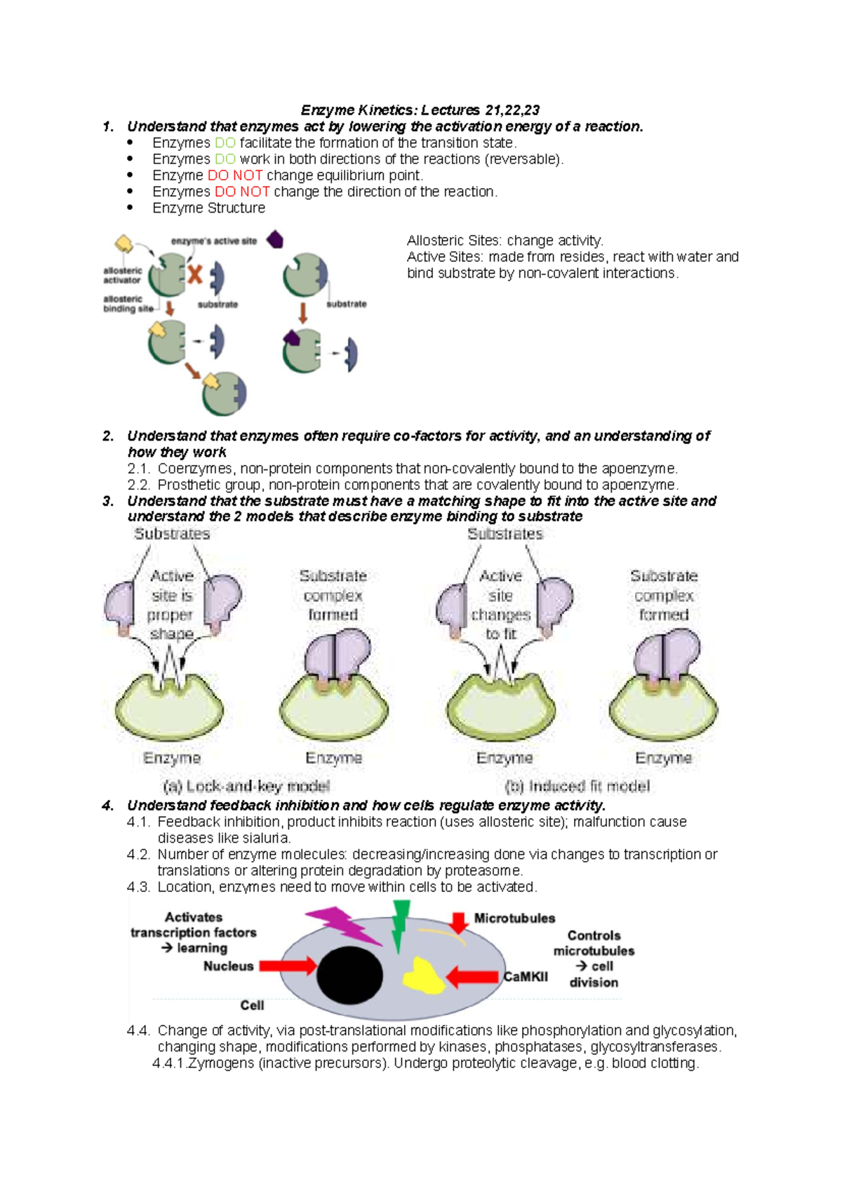 Enzyme Kinetics: Lecture Summary for Lectures 21-23 - Studocu
