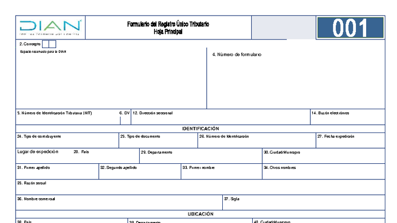 Guía para el RUT 1 4 0 - Formulario y Requisitos DIAN - Studocu