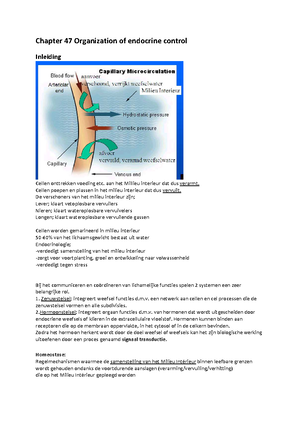 Humane anatomie - Humane anatomie Terminologie Figuur 1: Transversaal ...