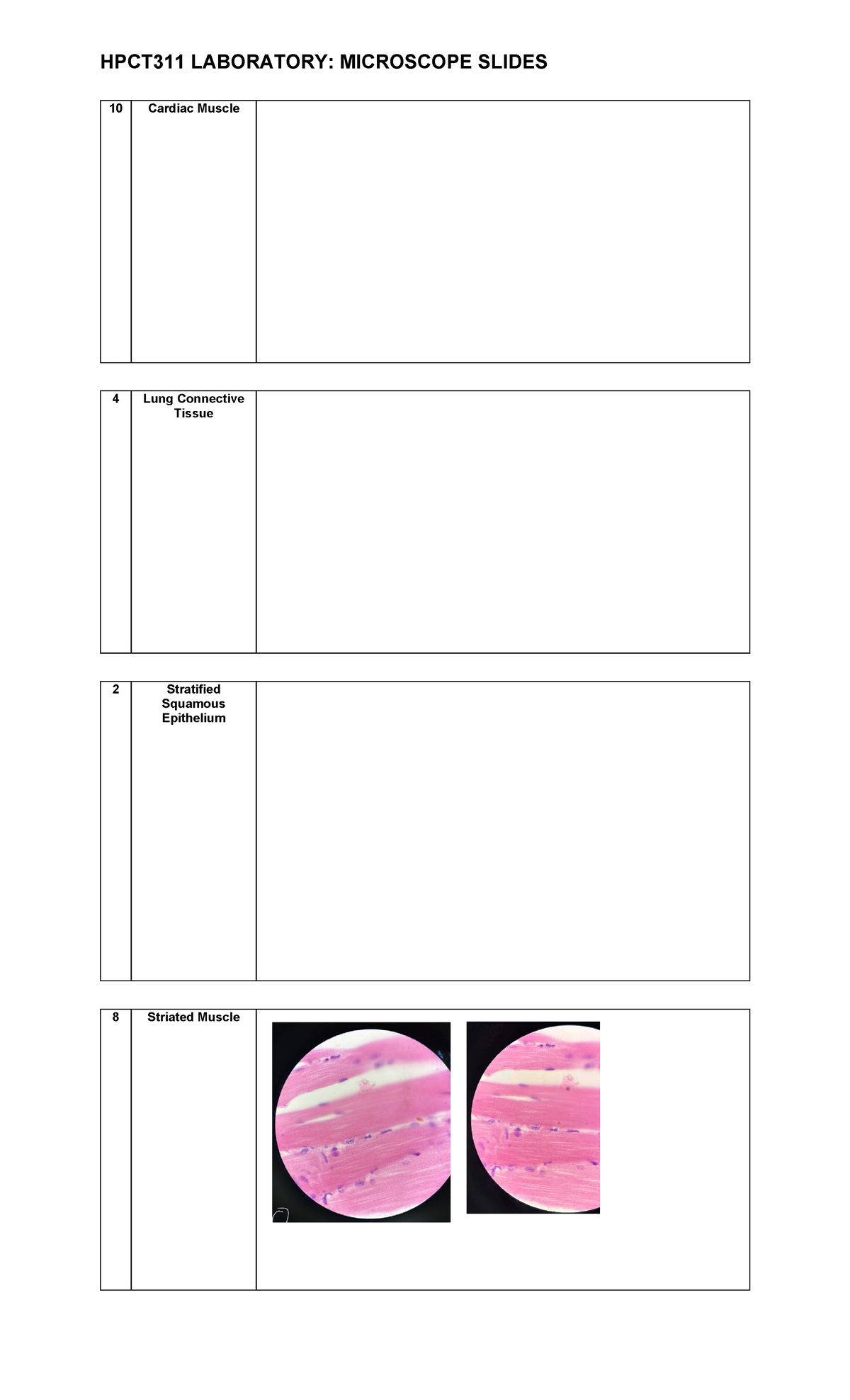 Microscope-slides hpct - Medical Laboratory Science (MedTech) - HPCT311 ...