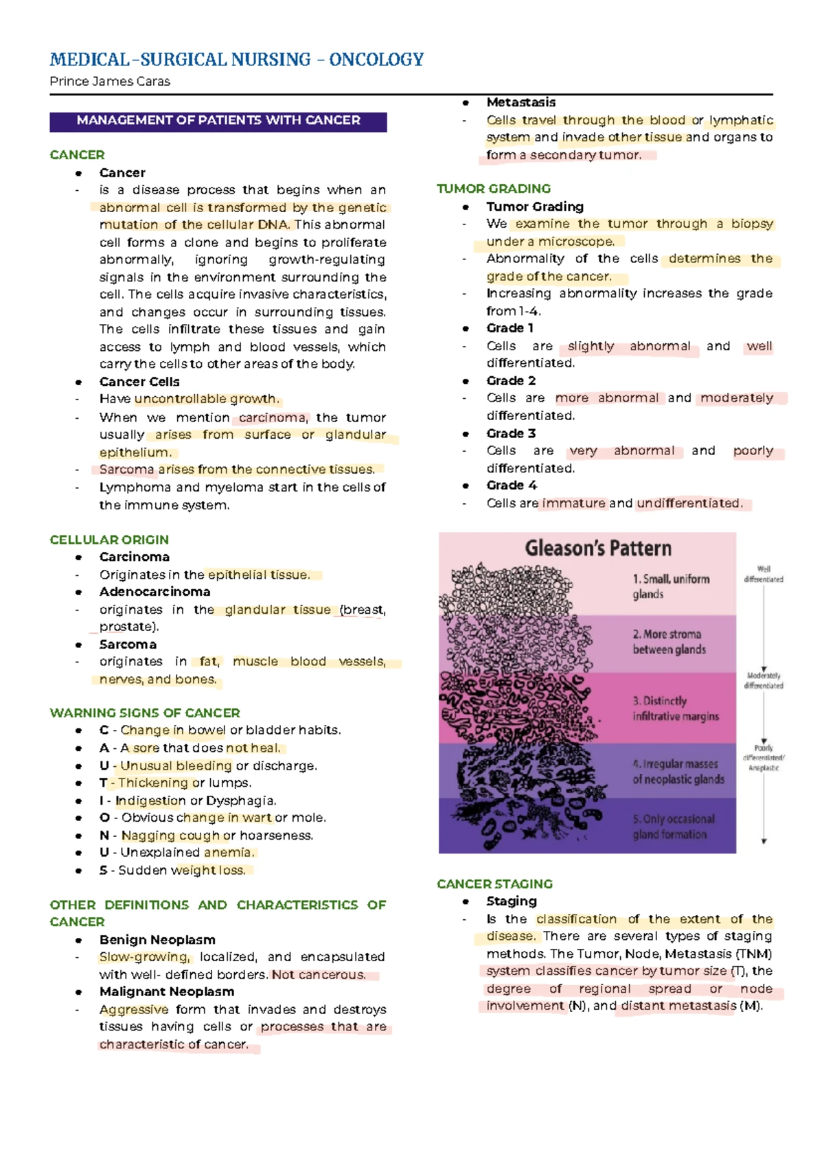 692834278 Oncology Nursing: Key Terms and Cancer Management Overview ...