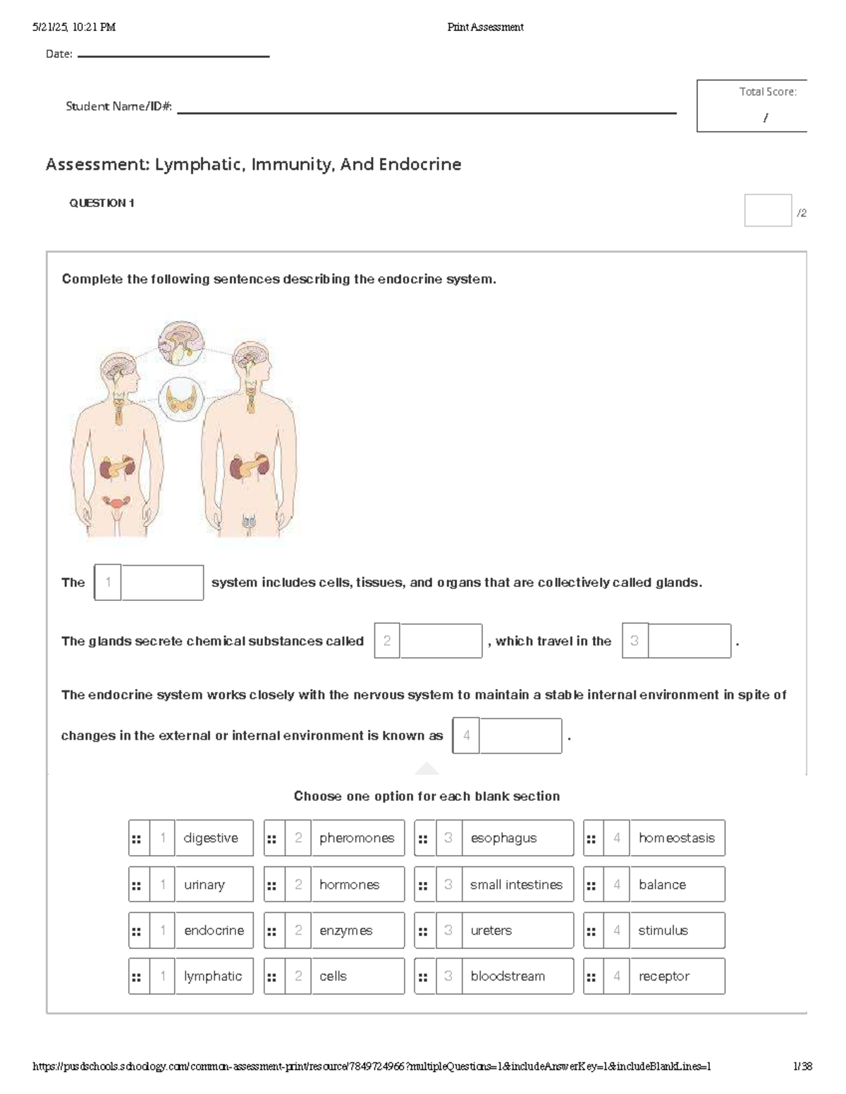Lymphatic and Immune System Assessment Questions (BIOL 101) - Studocu