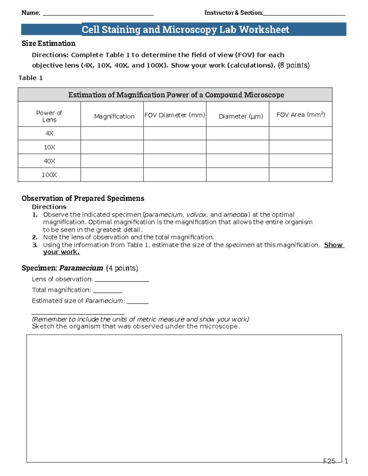 F25 Cell Staining & Microscopy Lab Worksheet Guide - Studocu