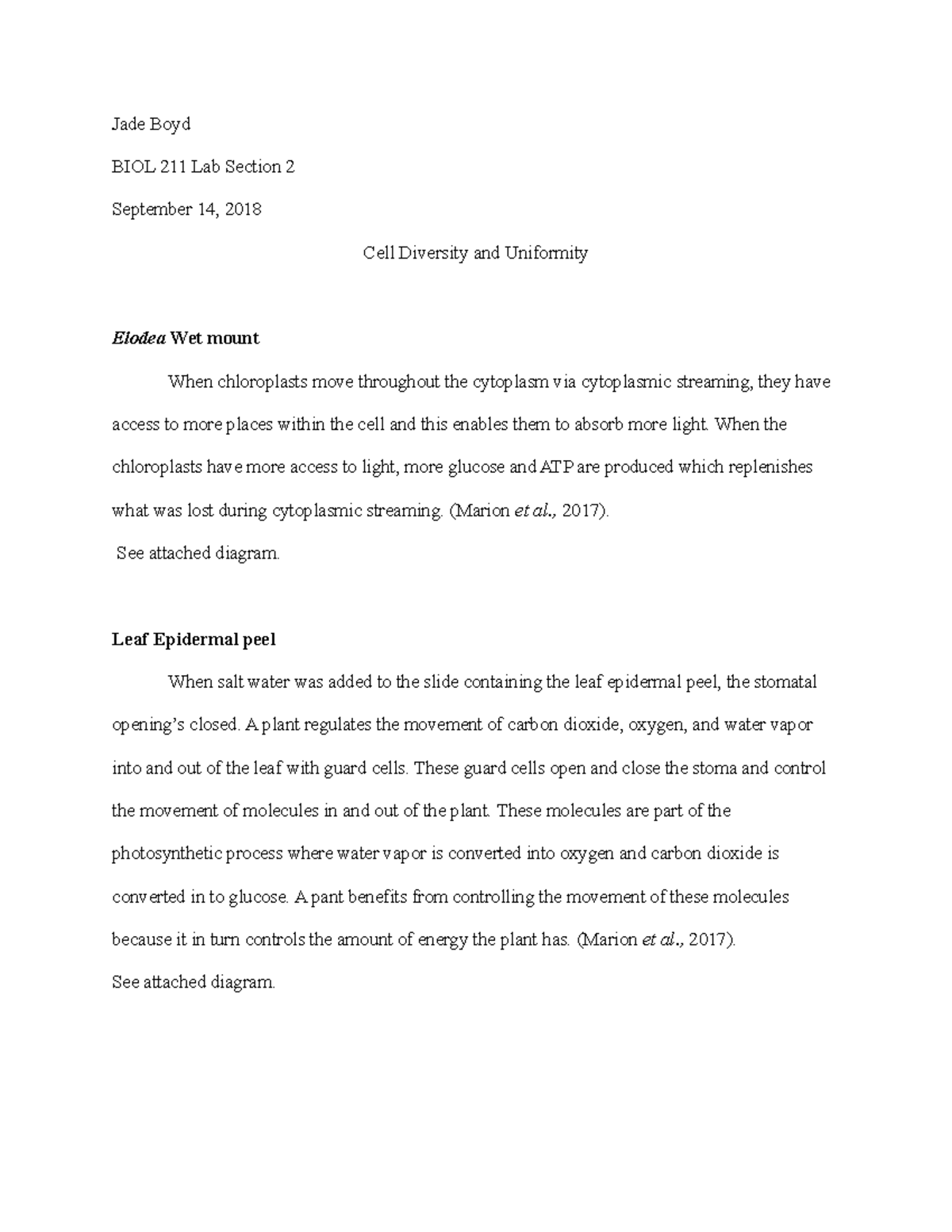 BIOL 211 Chap 2 Lab Report: Exploring Cell Diversity & Function - Studocu