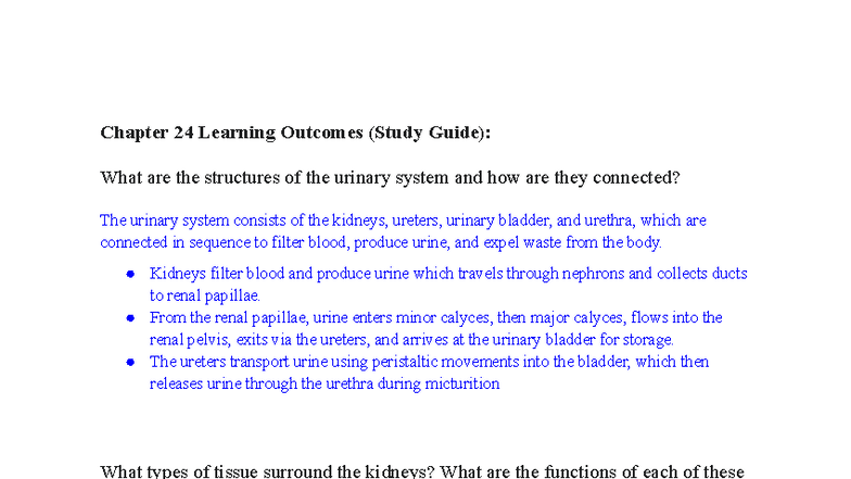 Chapter 24 Study Guide: Urinary System Structures & Functions - Studocu