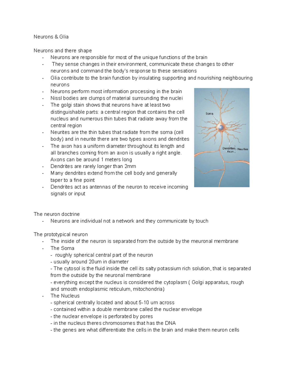 Neurobiology Lecture Notes: Neurons, Glia, and Synaptic Transmission ...