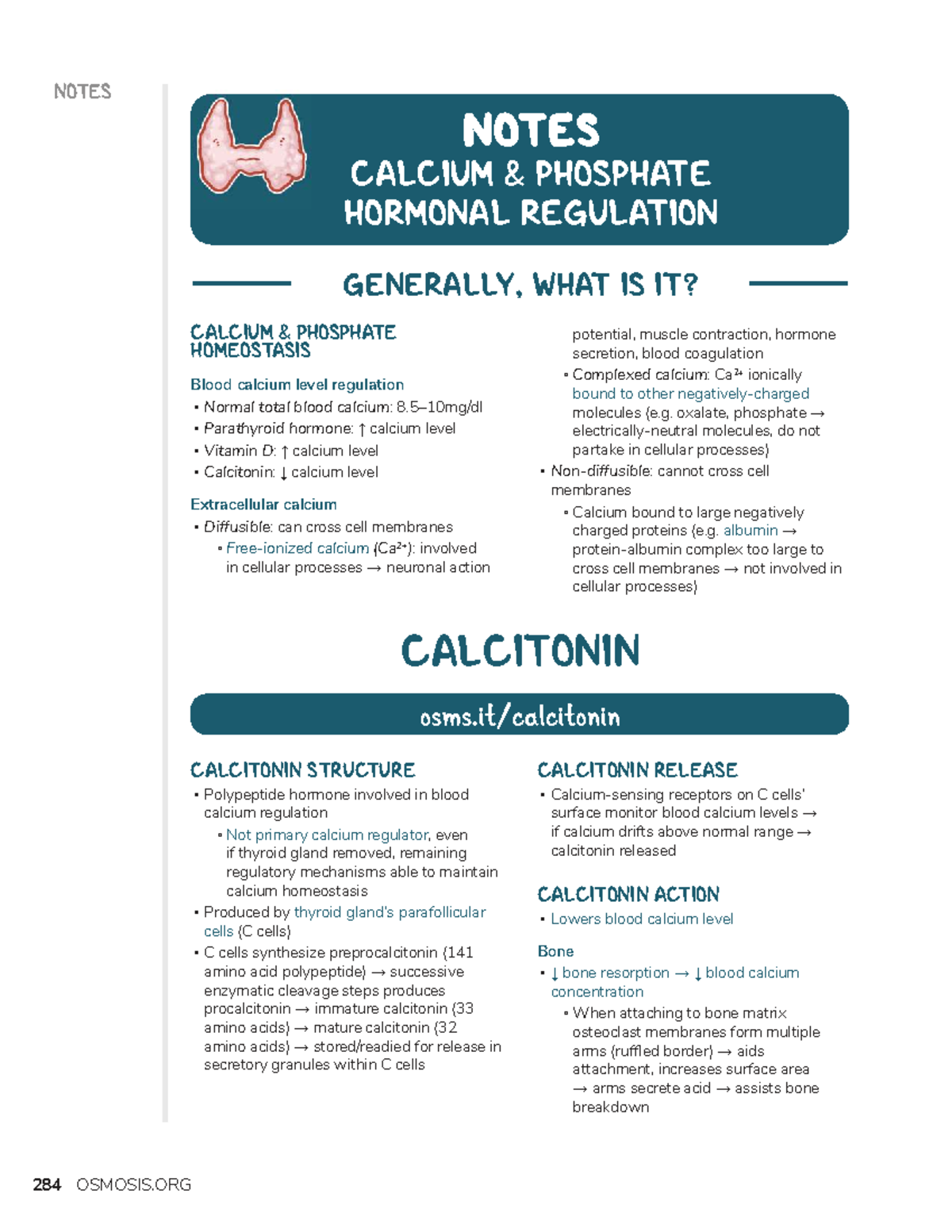 Calcium & Phosphate Hormonal Regulation Notes (Course Code: Endocrine ...