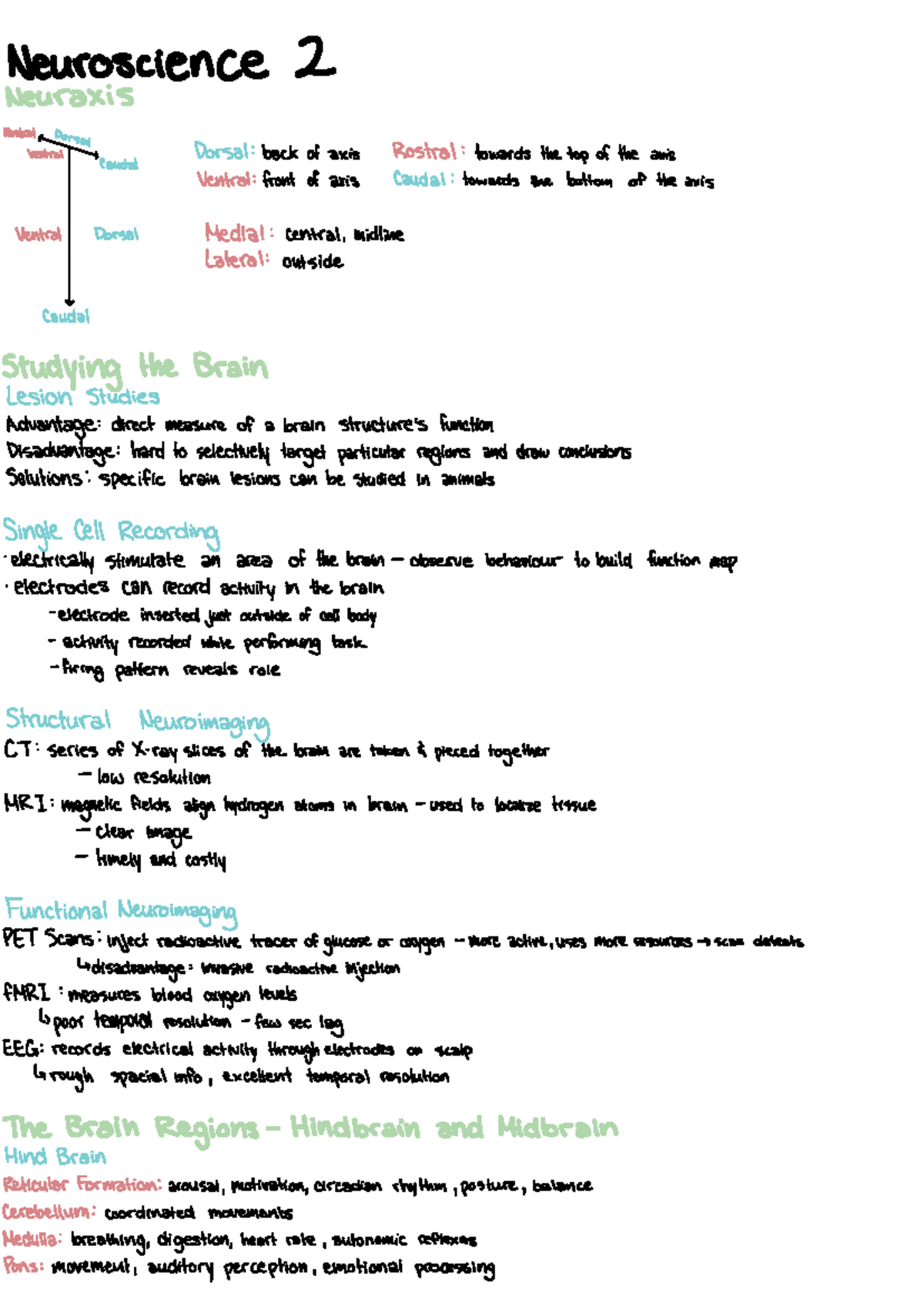 Neuroscience 2 - Brain Structure and Function Notes - Studocu