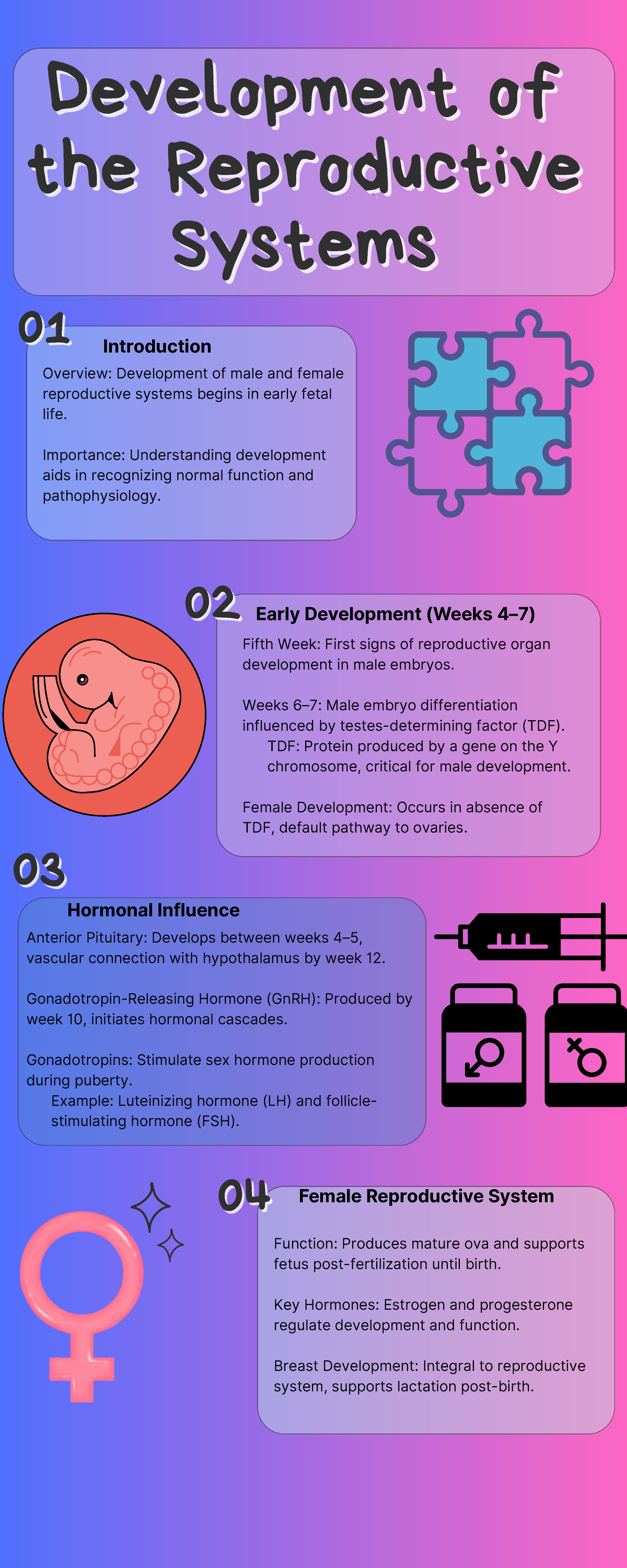 Birth Reproductive Developmental Process 400x521