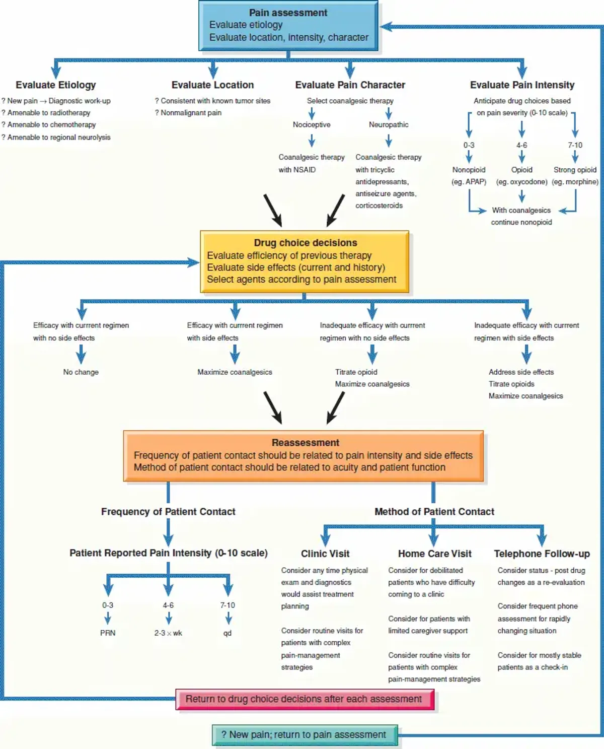 Brunner Ch.15 Final Exam Notes on Cancer Care Management - Studocu