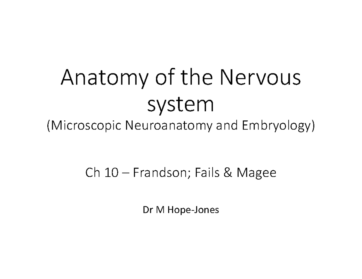DAF210 Final Exam: Anatomy of the Nervous System & Neuroanatomy Ch 10 ...