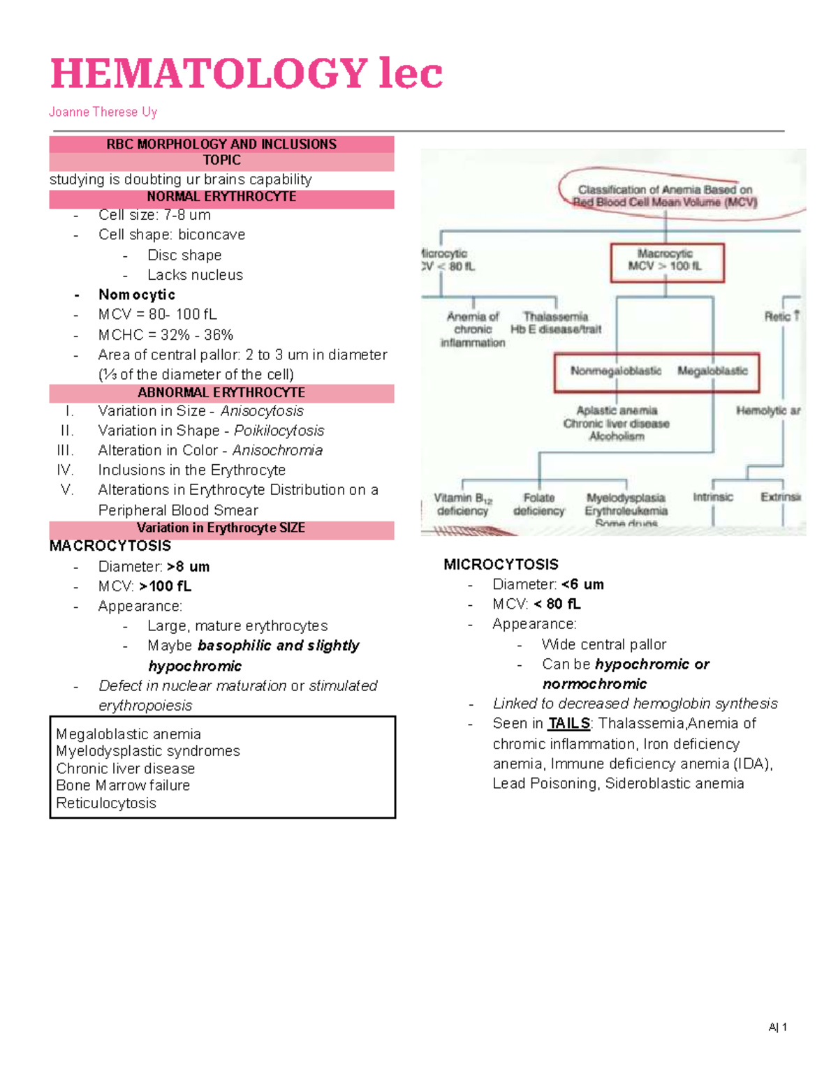 HEMATOLOGY LEC RBC Morphology & Inclusions Study Guide - Studocu