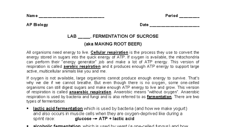 Lincoln Drennen - Foglia Root Beer Fermentation Lab - Name ...