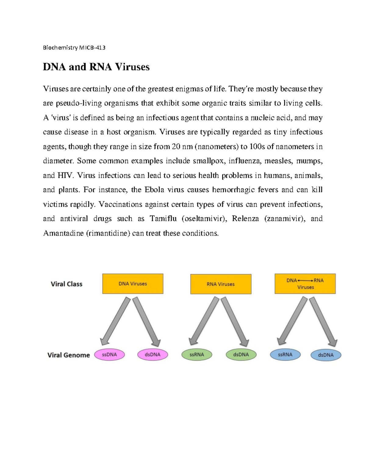 DNA and RNA Viruses Overview for Biochemistry MICB- - Studocu