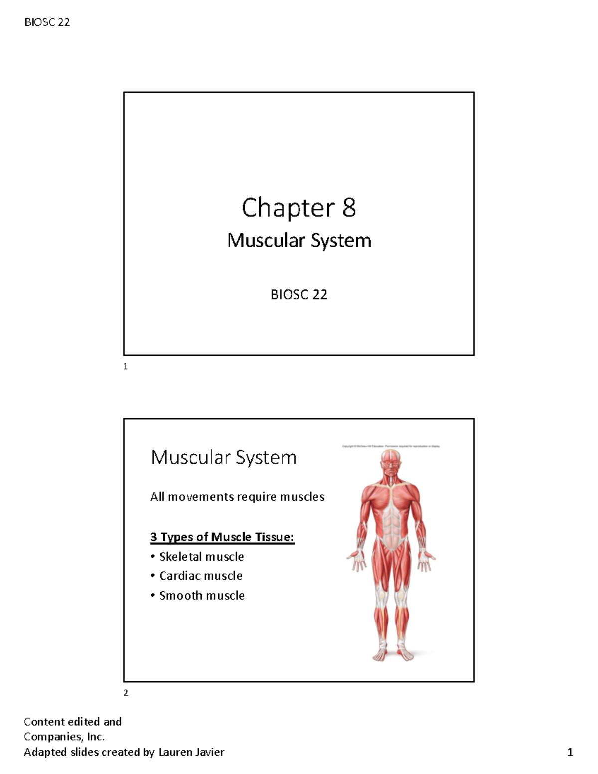 Skeletal Muscles Overview - BIOSC 22 Lecture Notes - Studocu
