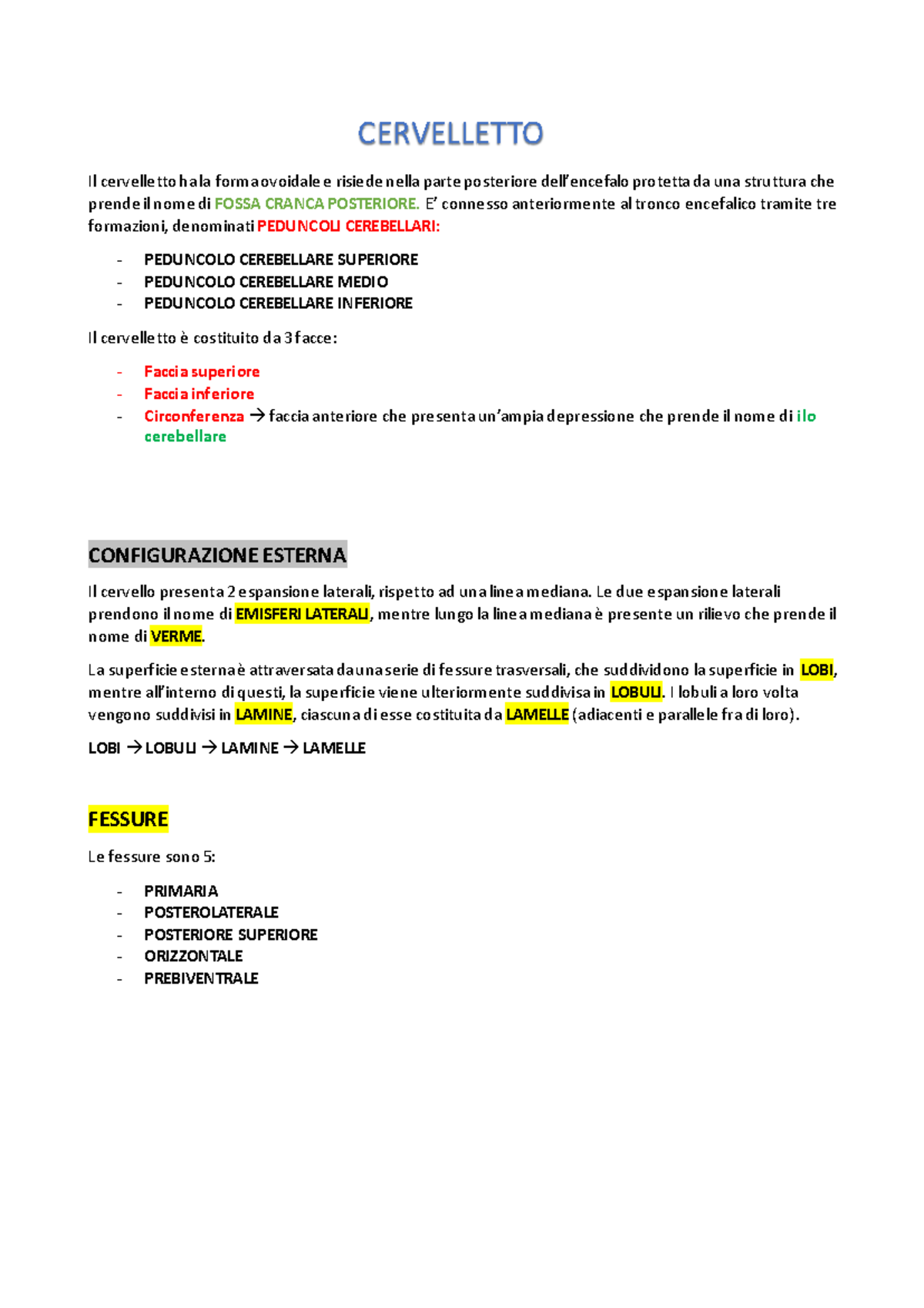 Lezione sul Cervelletto: Struttura e Funzione nel Sistema Nervoso - Document Preview