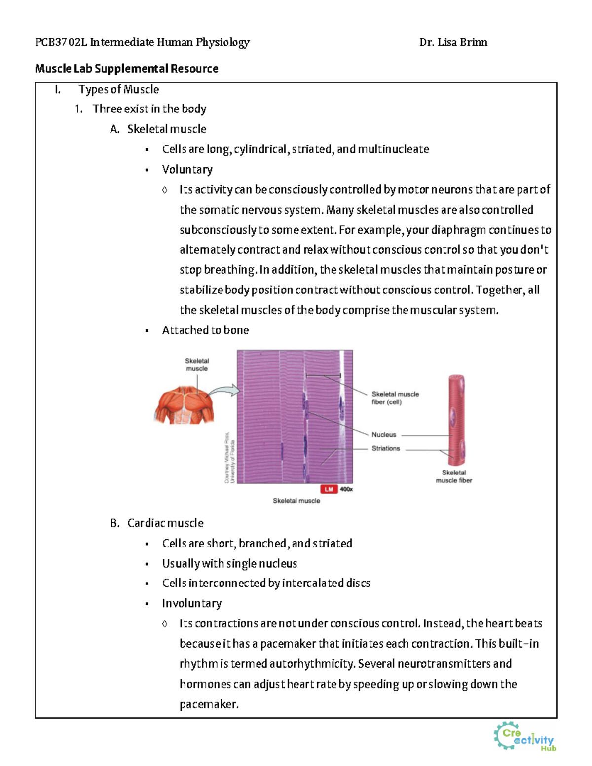 PCB3702L Muscle Lab Supplemental Resource - Studocu