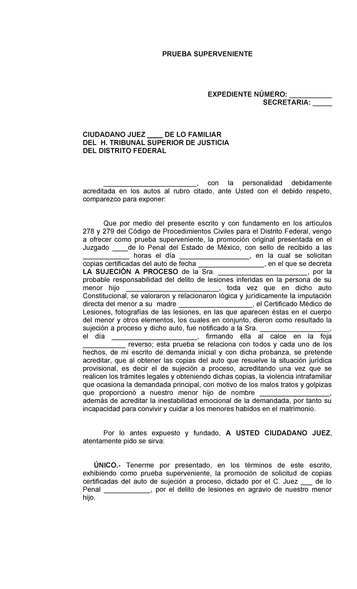 Prueba Superveniente en Procedimiento Civil: Expediente N ...