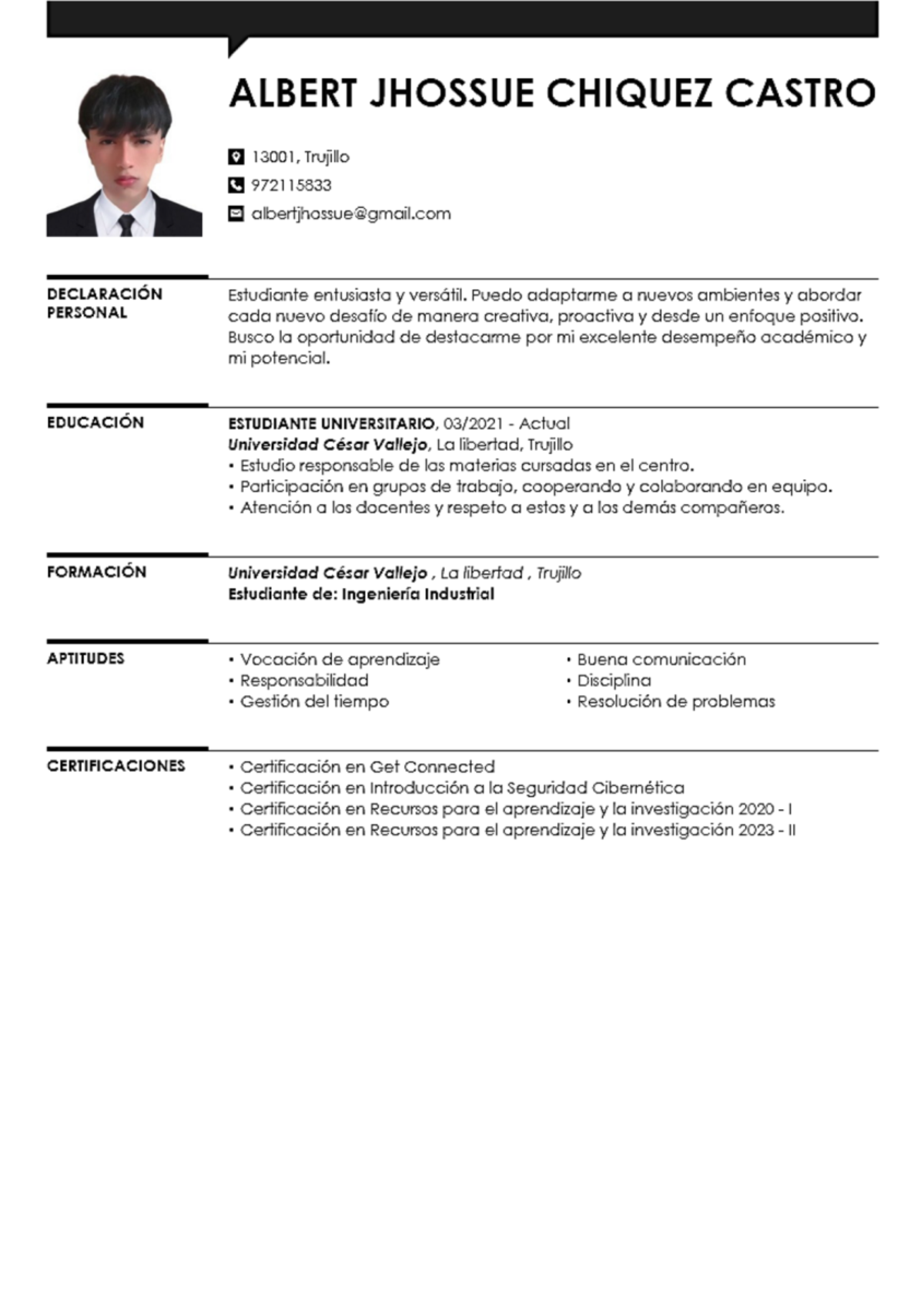 CV of Albert Jhossue Chiquez Castro: Professional Overview - Studocu
