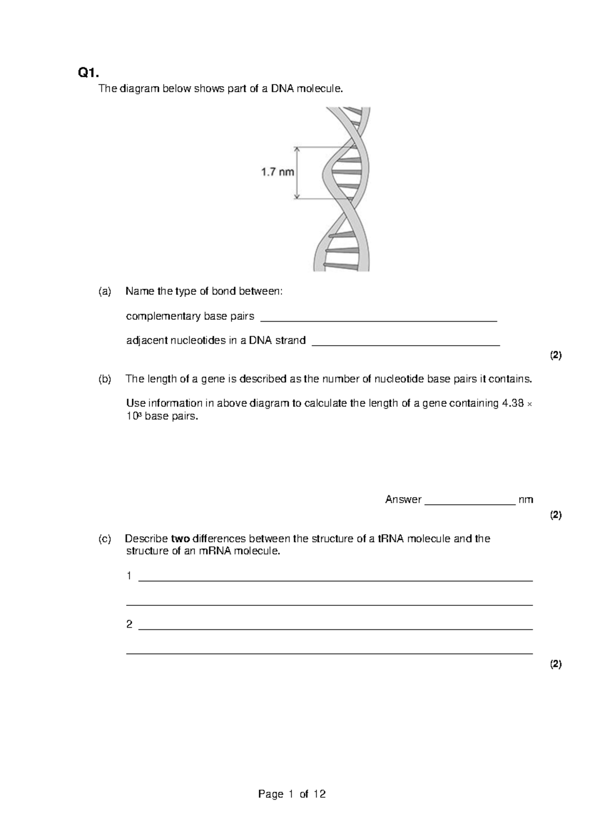 Protein Synthesis Questions (Biology 101) - Studocu