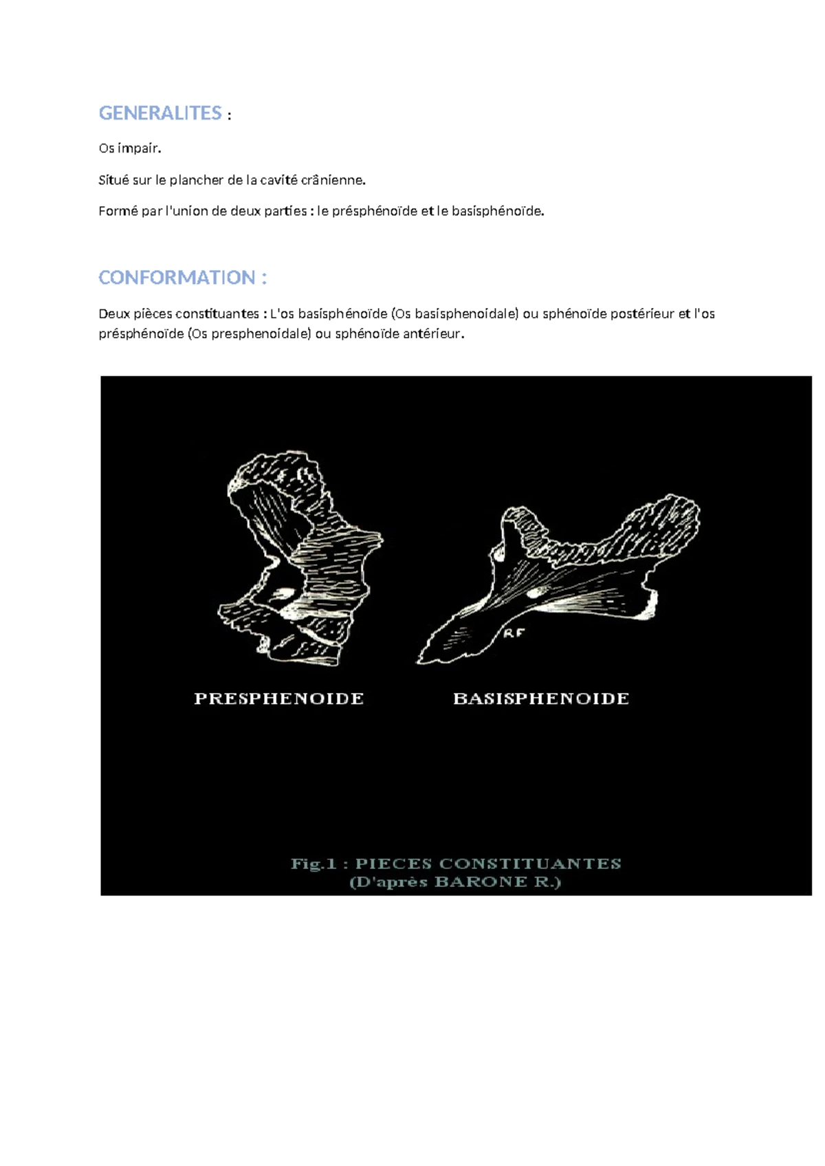 Anatomie et Pathologie du Cubitus et Radius - Cours Avant-bras - Studocu