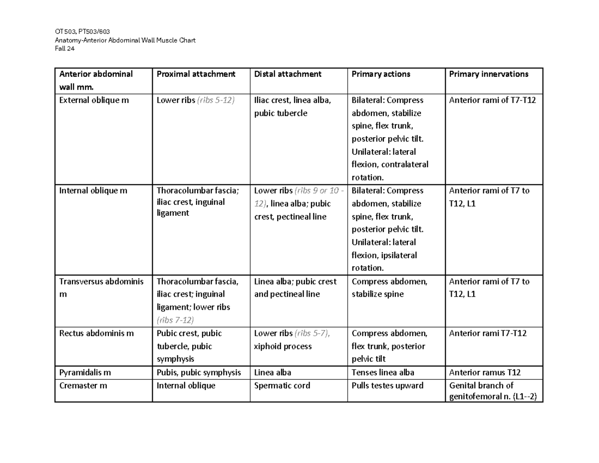 Anterior Abdominal Wall Muscle Chart OT 503, PT 503/603 Guide Studocu
