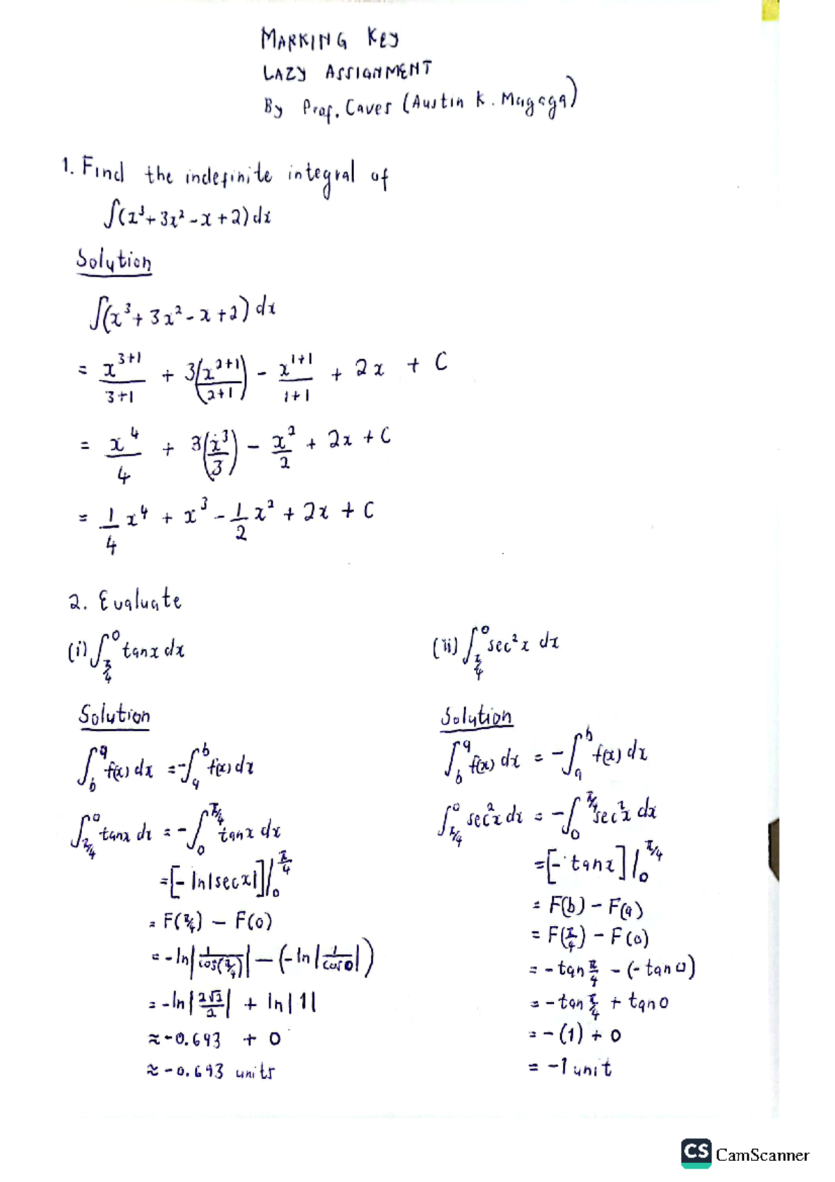 Lazy Assignment (Integrals) solutions - MARKING key LAZY ASSIGNMENT ...