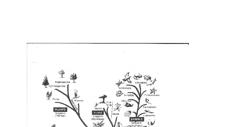 Additional Chapter 1 Handouts: Microbiology Overview and Classification ...