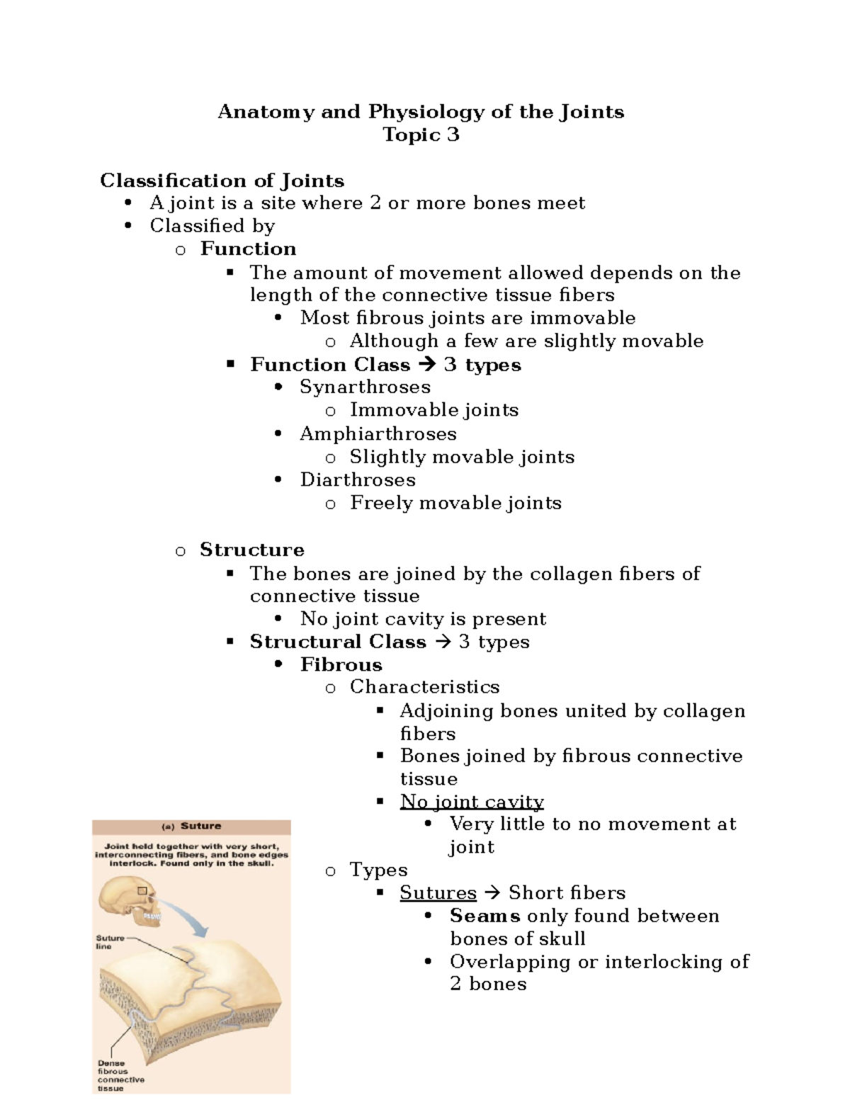 Topic 3 - Anatomy and Physiology of the Joints - Anatomy and Physiology ...