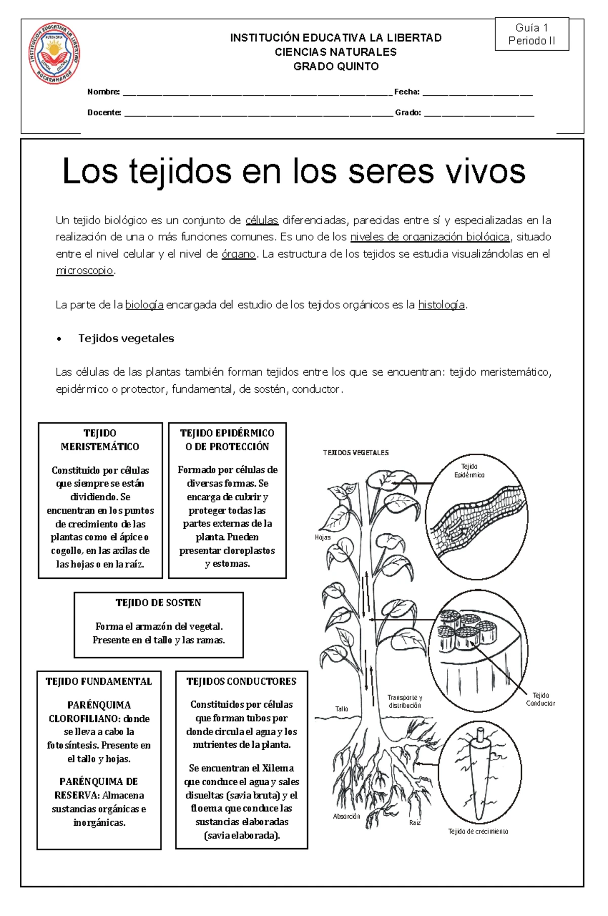 Ejercicios y soluciones sobre Moneras, Protoctistas y Hongos - 1 ESO -  Studocu