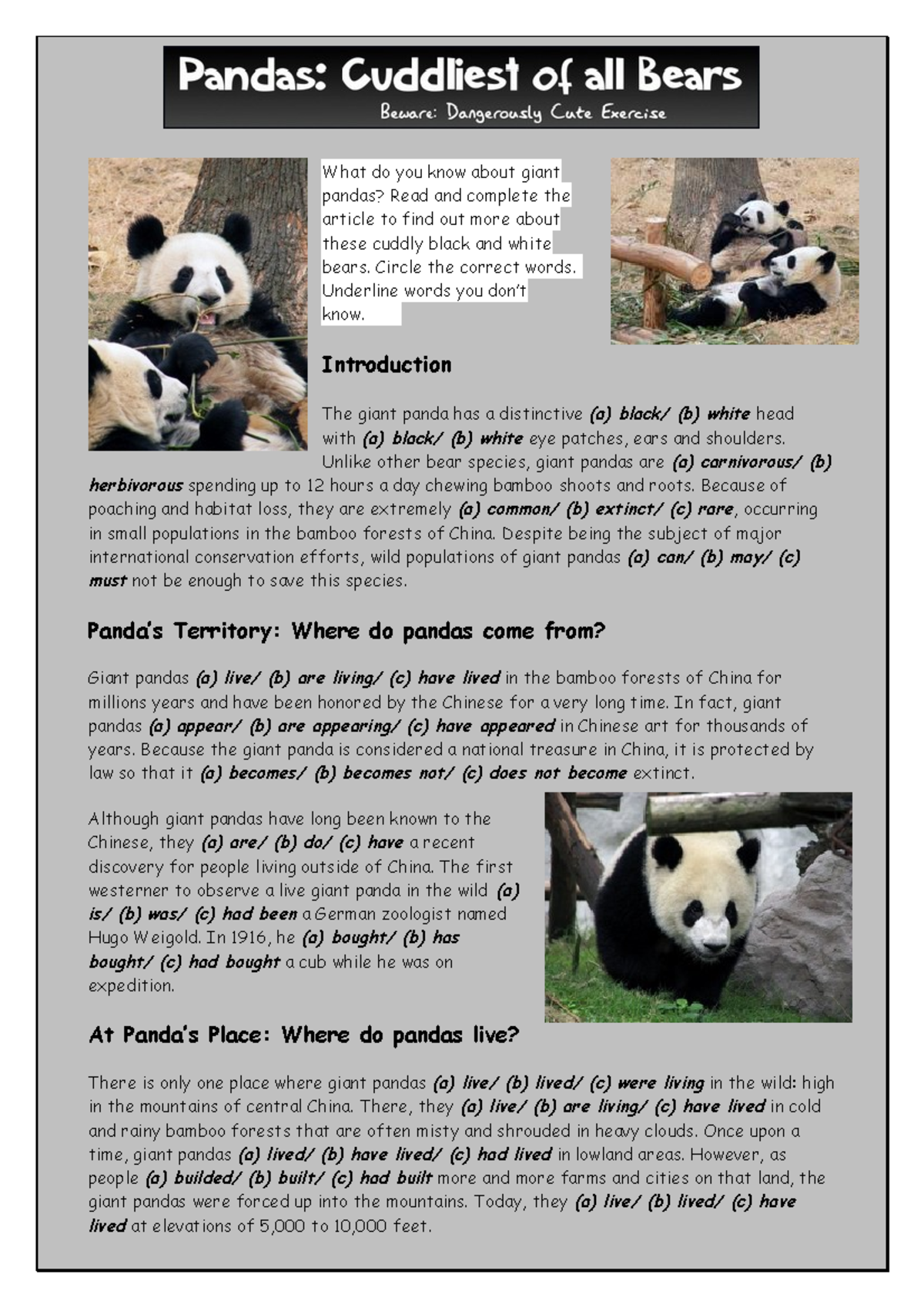 Giant Pandas: Fun Reading Comprehension Activities & Exercises - Studocu